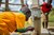 Social Determinants of Health 