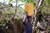 Piwa Maleng: Bringing clean water closer to home